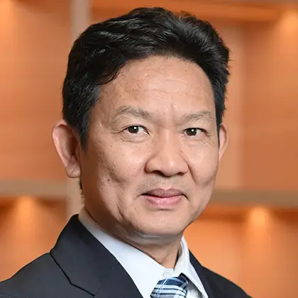 Han Phoumin Senior Energy Economist, Economic Research Institute for ASEAN and East Asia (ERIA)